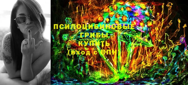 тгк Богданович